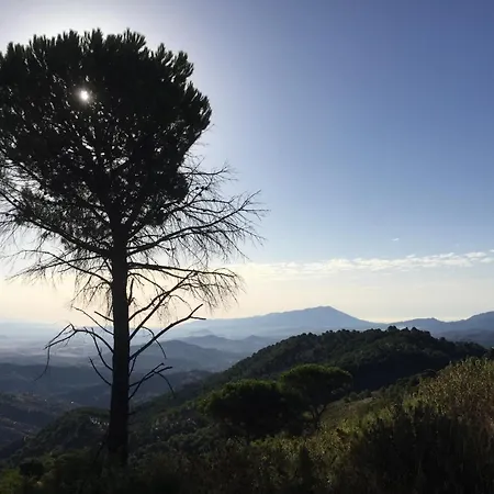 La Pura Vida * Yunquera